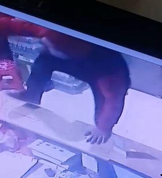 佤邦最新爆料新闻视频,揭秘神秘势力动态  第1张