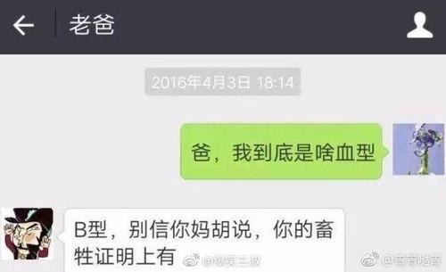 爆料新闻搞笑,揭秘娱乐圈“笑果”背后的惊人真相！  第2张